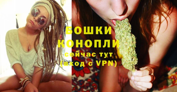 ешки Вяземский