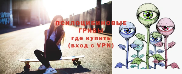 ешки Вяземский