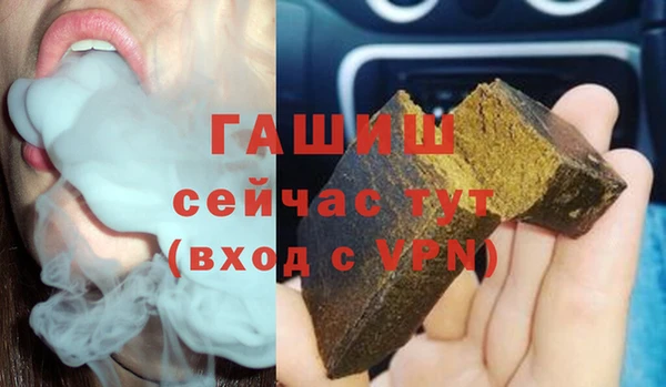 гидра Елабуга